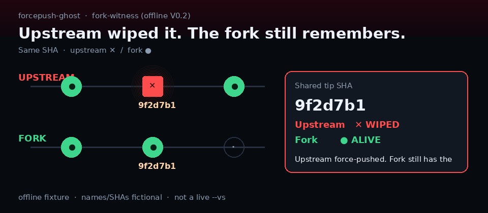 Dual rail: upstream wiped tip vs fork still alive on the same SHA
